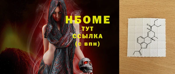 индика Абаза