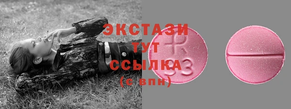 индика Абаза