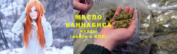 индика Абаза