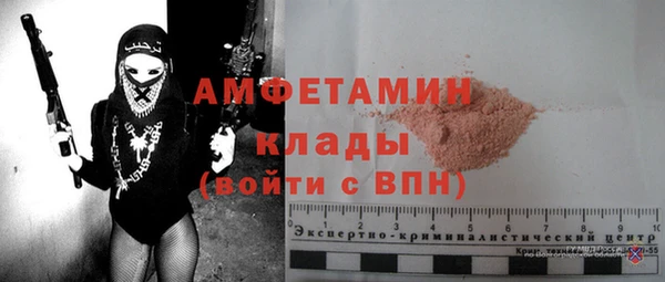 индика Абаза