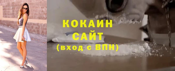 индика Абаза