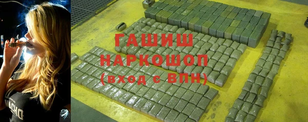 индика Абаза