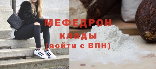 индика Абаза