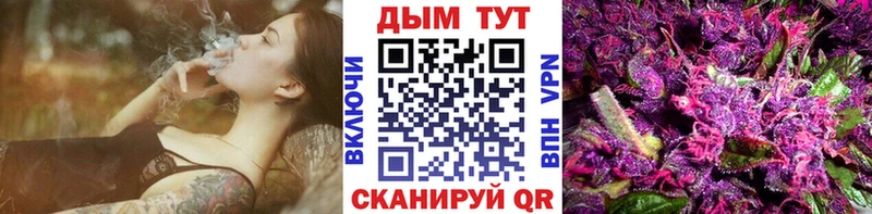 где найти наркотики  Весьегонск  Шишки марихуана VHQ 